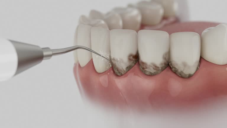 Reliable Dental contractor in Jackson, AL by Dentist Open Now